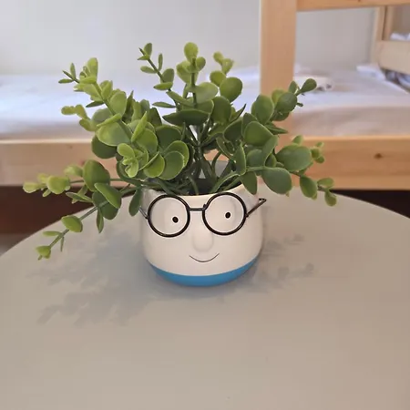 Deluxe Relaxation 斯普利特